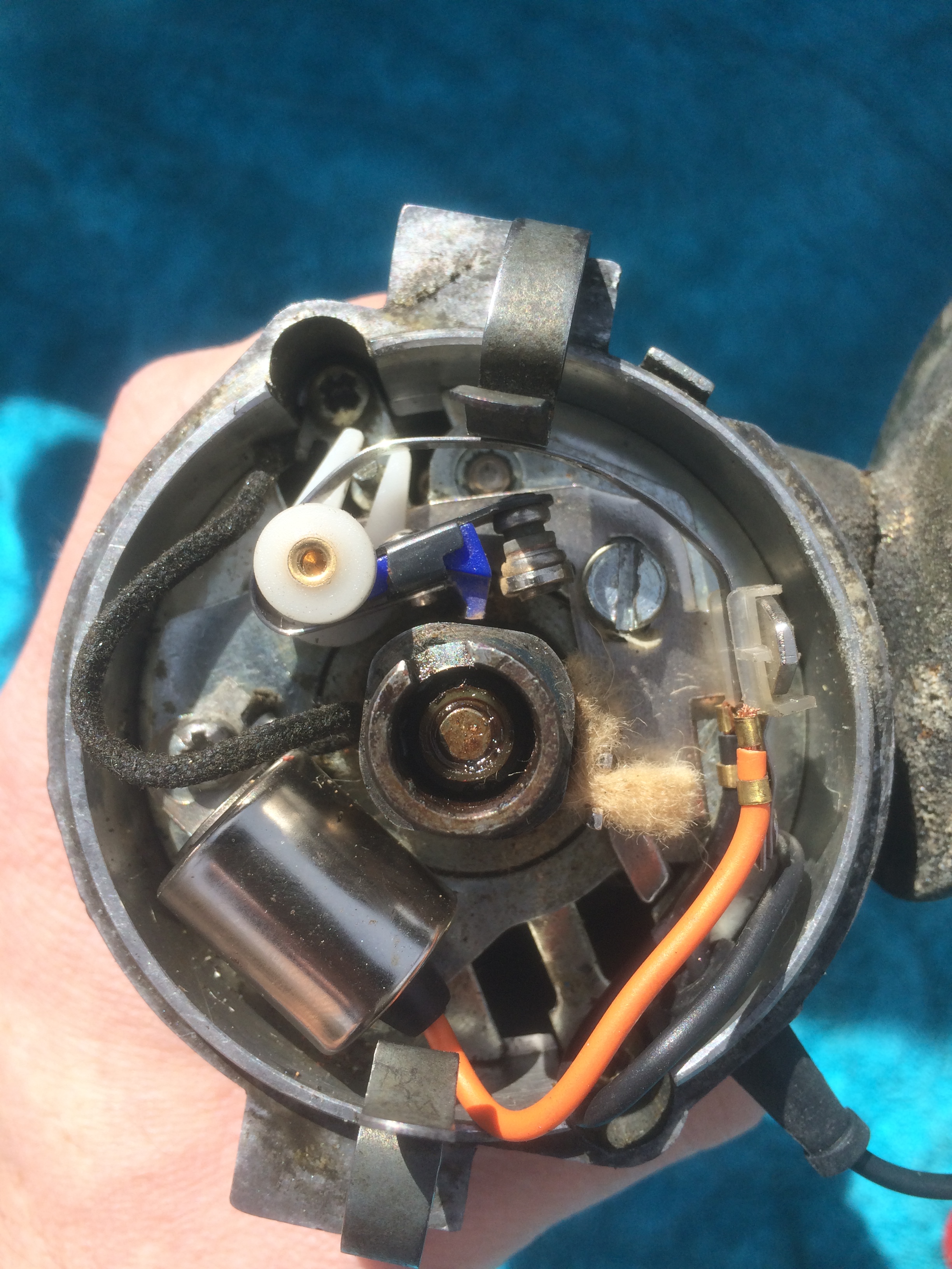 MGB 45D 43D distributor